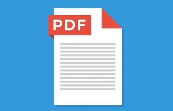 PDF报告查询制作